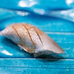 うを徳 - 2025.8 鹿児島産春子鯛