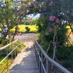 タイボー コーヒー&ジェラート ソフト - 出口からの景色