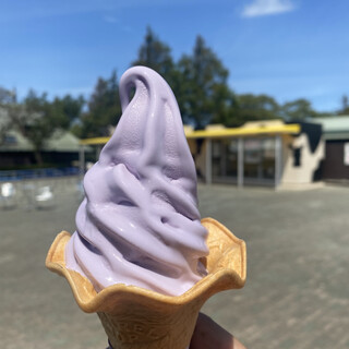 ローズマリーカフェ_1