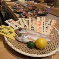 魚の中俣 銀座 - 