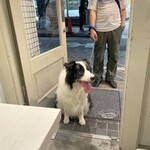 神楽坂タンテボーネ - 