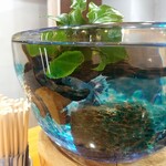 青波 - 内観　カウンターの金魚鉢で憩うランブルフィッシュ
