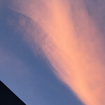 獅子丸 新百合ケ丘店 - 