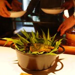 レフェルヴェソンス - 