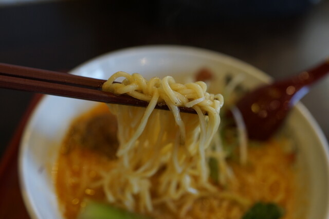 たいとくま - 美術館図書館前（ラーメン）の写真