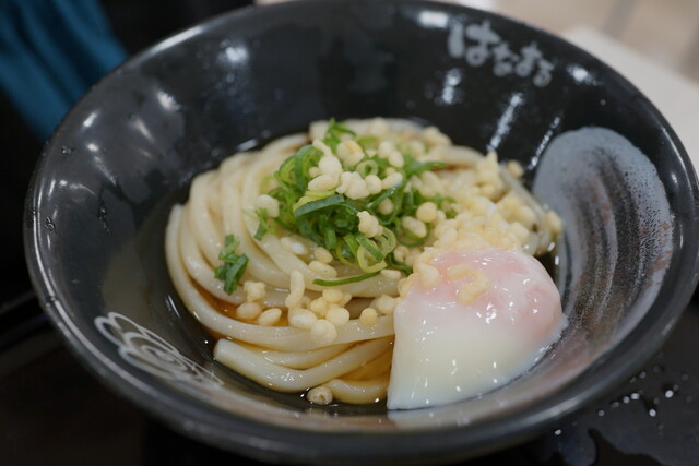 はなまるうどん イオン福島店 - 泉（福島交通）（うどん）の写真
