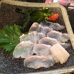 イザカヤ たくと - 