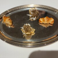 ロドラント ミノルナキジン - 