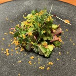 luogo - 大分　真鯵　からすみ　ハーブ