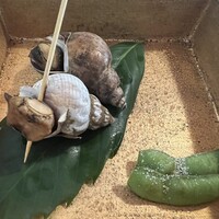 からすみ蕎麦 月と松 - 