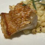 カーサ・デル・チーボ - 