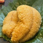 ウニツウmasa - 雲丹‥‥‥‥‥‥北海道礼文島産