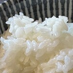 ウニツウmasa - ごはん　アップ