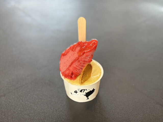 Ｈ&Ｈ Labo（エイチ&エイチ ラボ） - 東名（ジェラート・アイスクリーム）の写真