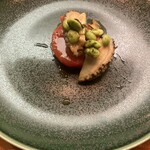 イルミオカンポ - 