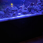 スカイバー バレルIII - 