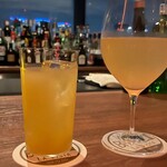 スカイバー バレルIII - 