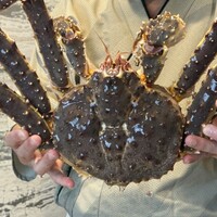 活かに 北斗 - 