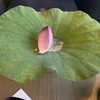 とうふ屋うかい - 