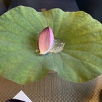 とうふ屋うかい 鷺沼店 - 