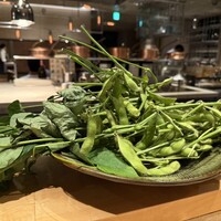 SUGALABO - 