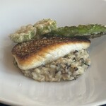 プチ・パピヨン - 