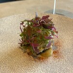 ノノカ レストラン - 