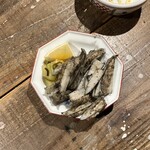 立ち呑み ツキノコグマ - 