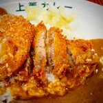 上等カレー - 食べやすいカツ