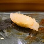 京極寿司 - ◯アカギハタ（サスエ前田さん）
      ハタとかクエの仲間
      サスエさんとは3年間取り引きしているけれど
      初めて入った魚との説明
      
      モッチリ食感が心地良くて
      ジンワリ旨味感が広がり
      心から幸せな気持ちになれる♪