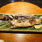 京極寿司 - 前回同様
      細やかな味わいの情報も分かりお上品な味わいだし
      後味の旨味もジンワリと残り続けて心地良い♪
      
      ヤナの鮎の味わいとは、全く次元は違うなあ♪
      
      スダチを掛けて食べるのが、勿体なく思える