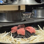 旭川成吉思汗 大黒屋 函館五稜郭店 - 