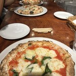 savoy クラシック - 