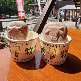 コートクコラール_1