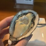Oyster Lab - 