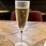 STUNNER - ポールスター