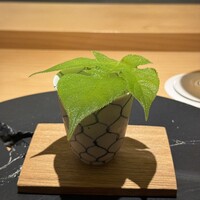 東山無垢 - 