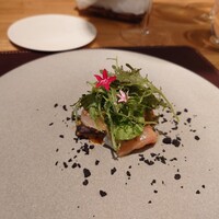 ARMONICO - 