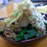 麺'ズ 富士山 - 冨士山つけうどん　具