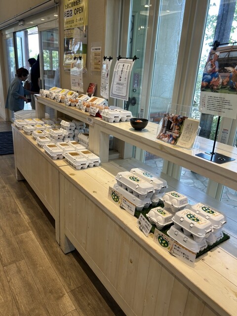 Coco Terrace photo 4