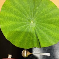 白虹 - 