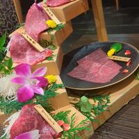 焼肉割烹 YP流 宗右衛門町本店 - 