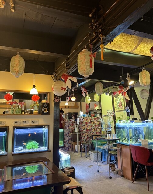 Kingyo cafe Ryurakuya Hidamari photo 4