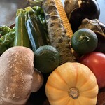 八坂 - 本日の野菜たちです