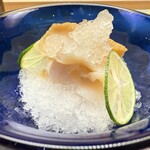 髙橋 謙太郎 - 【 つぶ貝 】