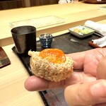 髙橋 謙太郎 - 【 毛蟹の雌 】