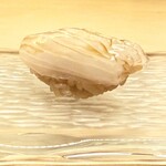 髙橋 謙太郎 - 【 あおりいか 】