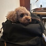 ザ エア ビルディング - 