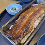 鰻魚四代目菊川 中洲春吉店 - 