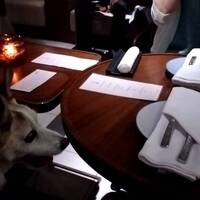 District Brasserie, Bar, Lounge - 